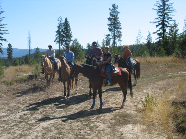 horse riders AQHA ride and drive program