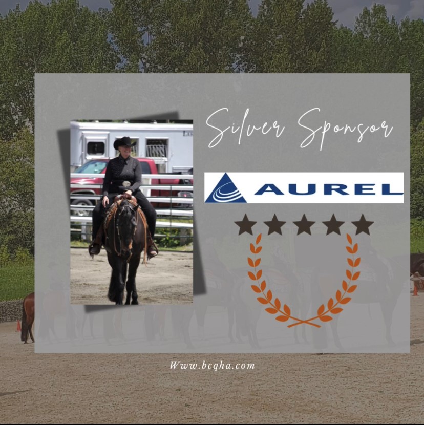AUREL SPONSOR