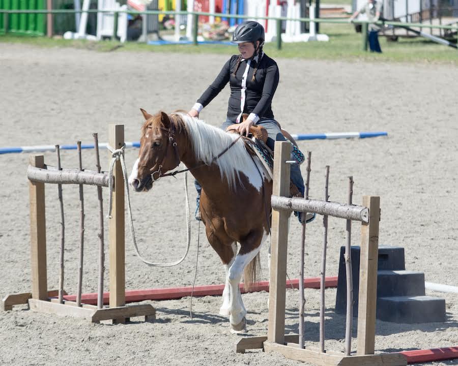 WINE COUNTRY OPEN SHOW + CLINIC